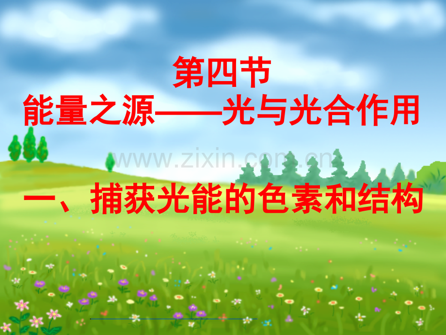 光作用与光合作用-课件-(77张).ppt_第1页