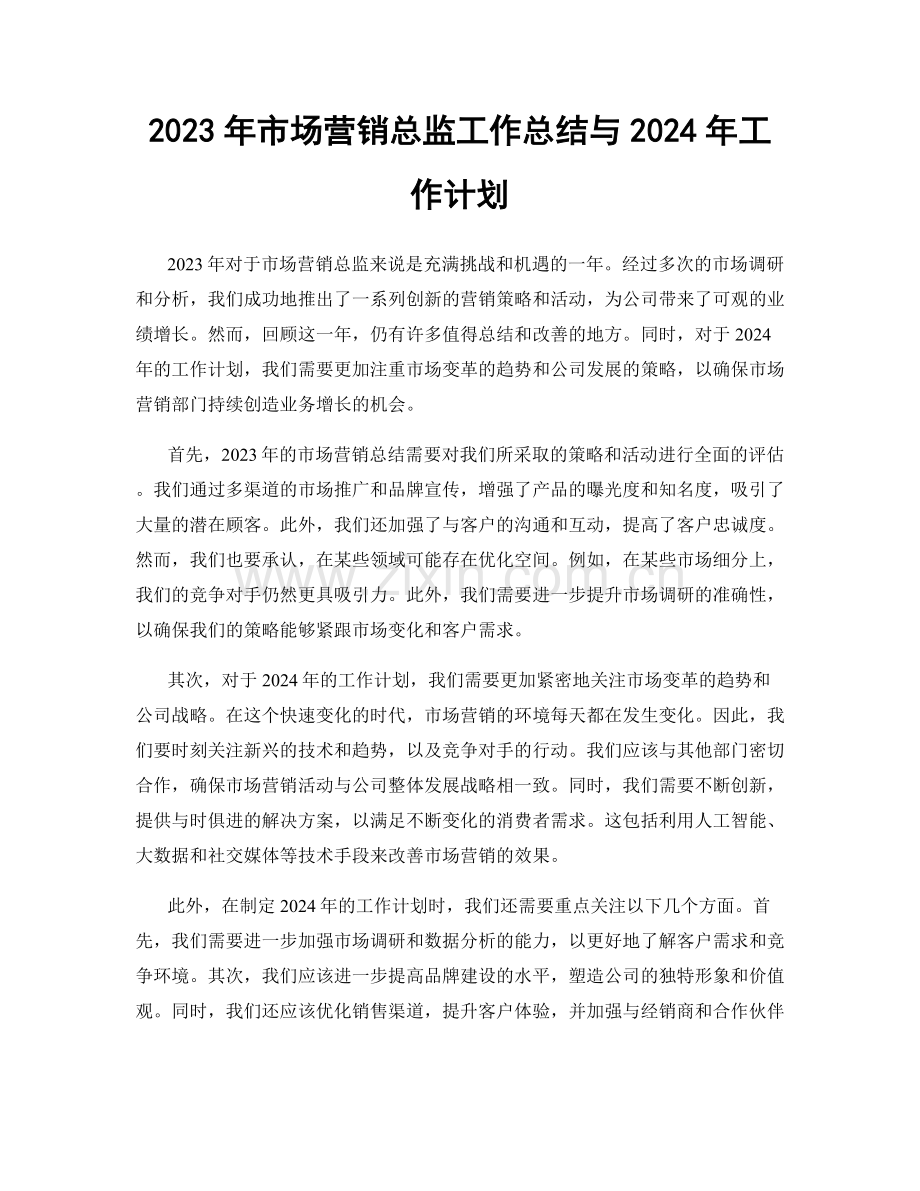 2023年市场营销总监工作总结与2024年工作计划.docx_第1页