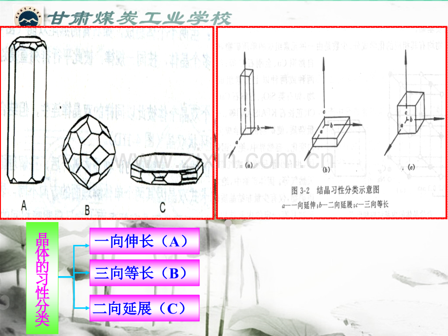 煤矿地质第二章三大类岩石简述.pptx_第3页