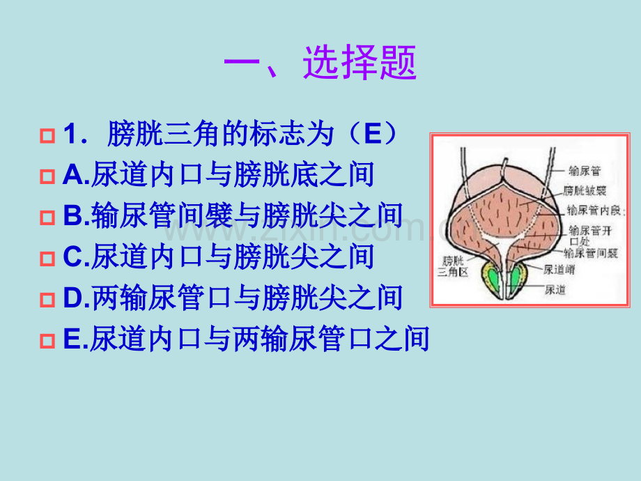 医学临床“三基”训练试题集§5.2.ppt_第3页