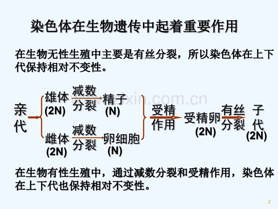 DNA是主要的遗传物质(教学课件)-PPT.ppt_第2页