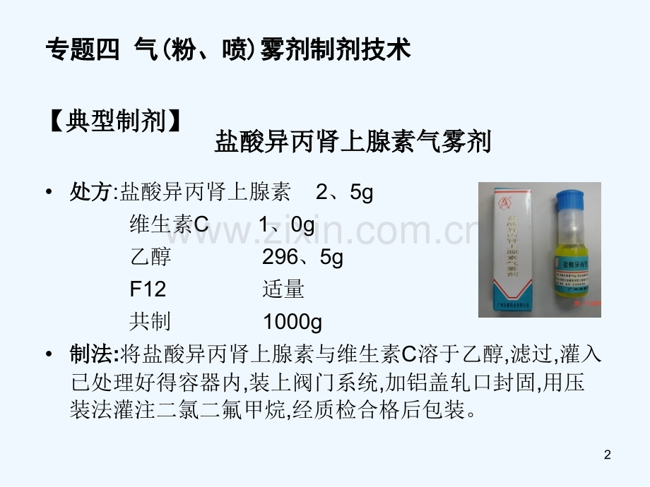 气粉喷雾剂制剂技术.pptx_第2页