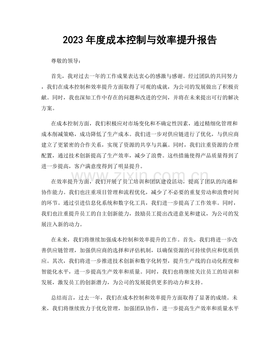 2023年度成本控制与效率提升报告.docx_第1页