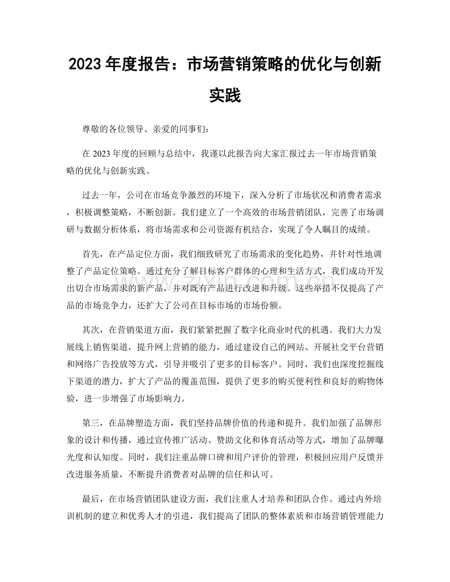 2023年度报告：市场营销策略的优化与创新实践.docx_第1页