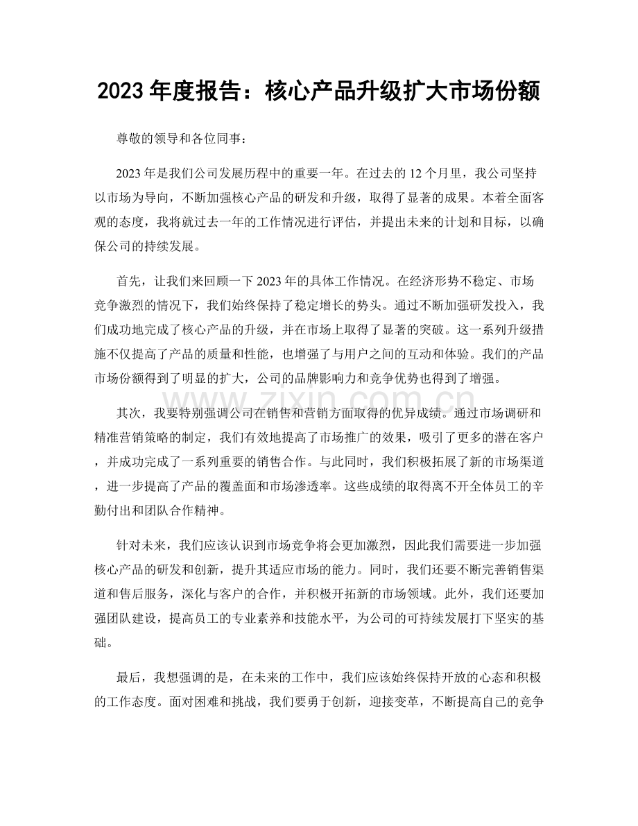 2023年度报告：核心产品升级扩大市场份额.docx_第1页