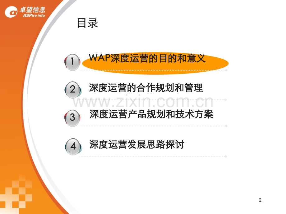 3G门户深度运营规划.ppt_第2页