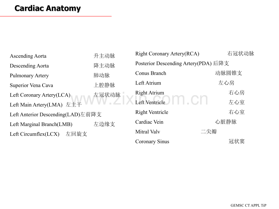 CT心脏断面解剖PPT课件.ppt_第2页