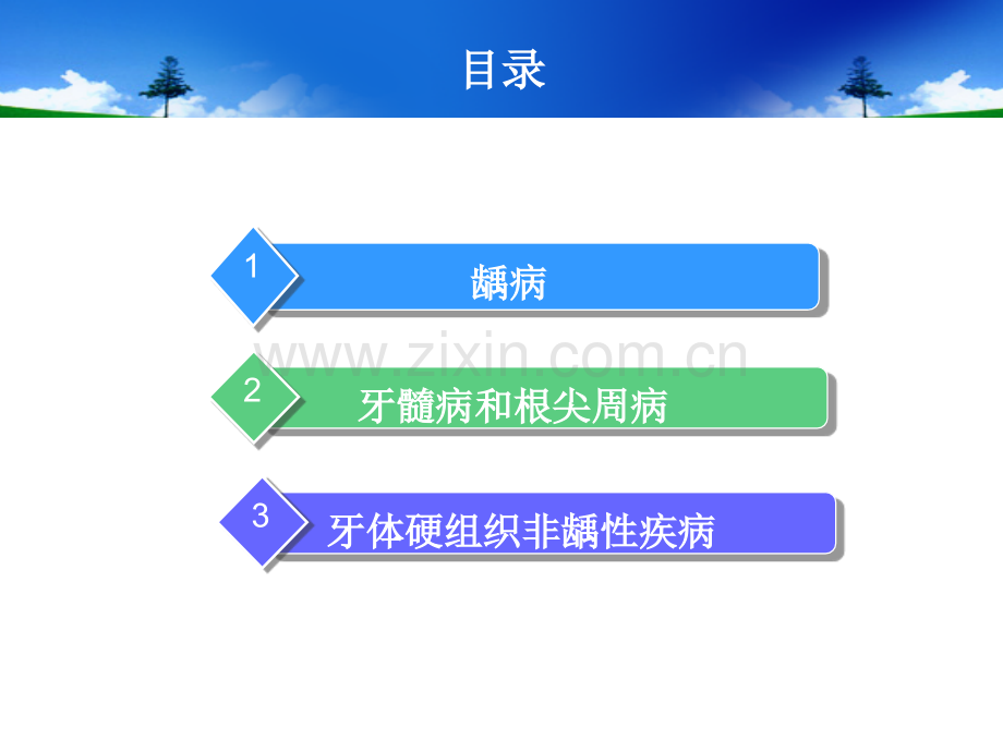 牙体牙髓常见疾病及其治疗.ppt_第2页