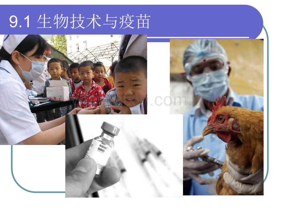 生物技术与人类健康10-7.ppt_第2页