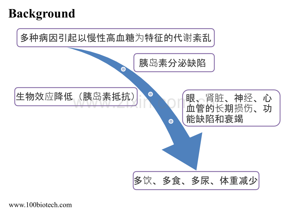 2型糖尿病的炎症学说--百替生物.pptx_第3页