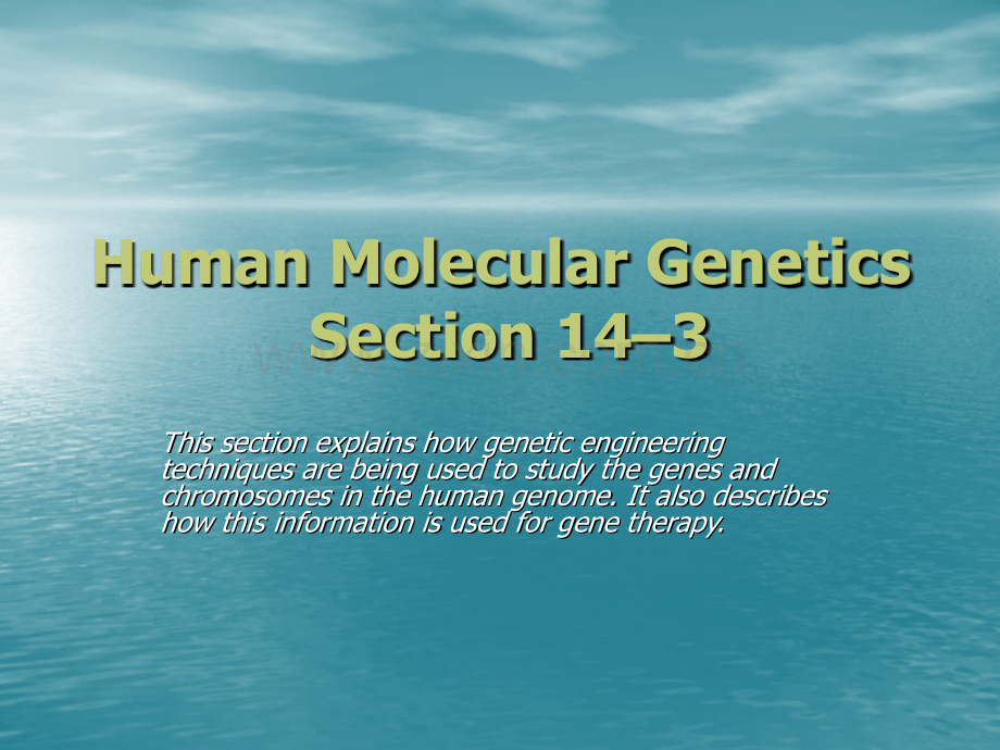 HumanMolecularGenetics.ppt_第1页