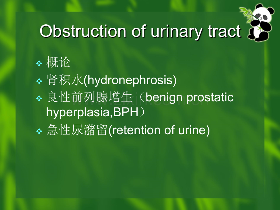 肾盂输尿管连接处狭窄良性前列腺增生.ppt_第3页