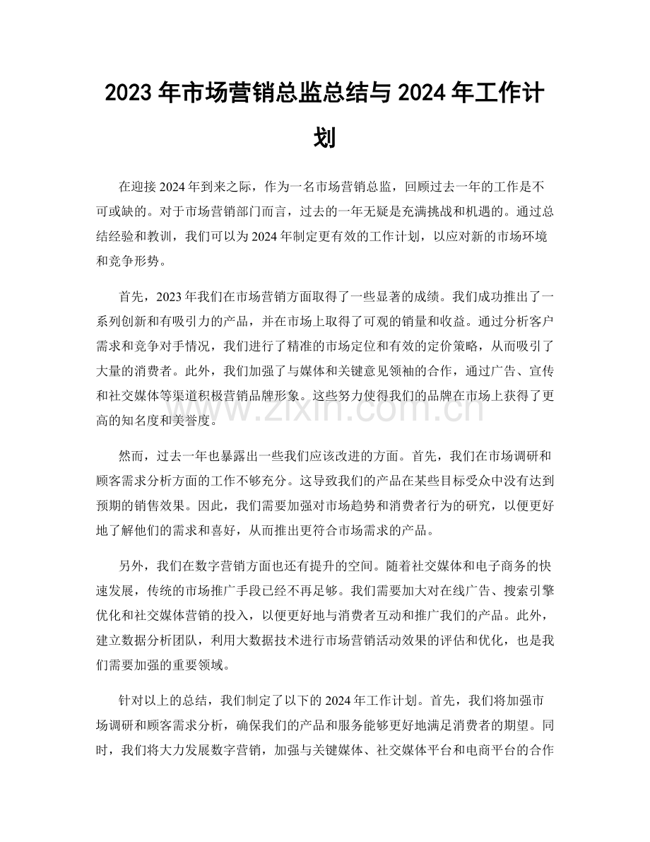 2023年市场营销总监总结与2024年工作计划.docx_第1页