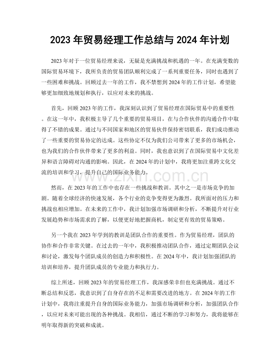 2023年贸易经理工作总结与2024年计划.docx_第1页