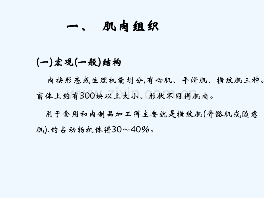 肉的结构成分性质宰后变化全.pptx_第2页