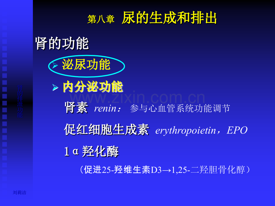 生理学课件泌尿人卫第七版.ppt_第3页