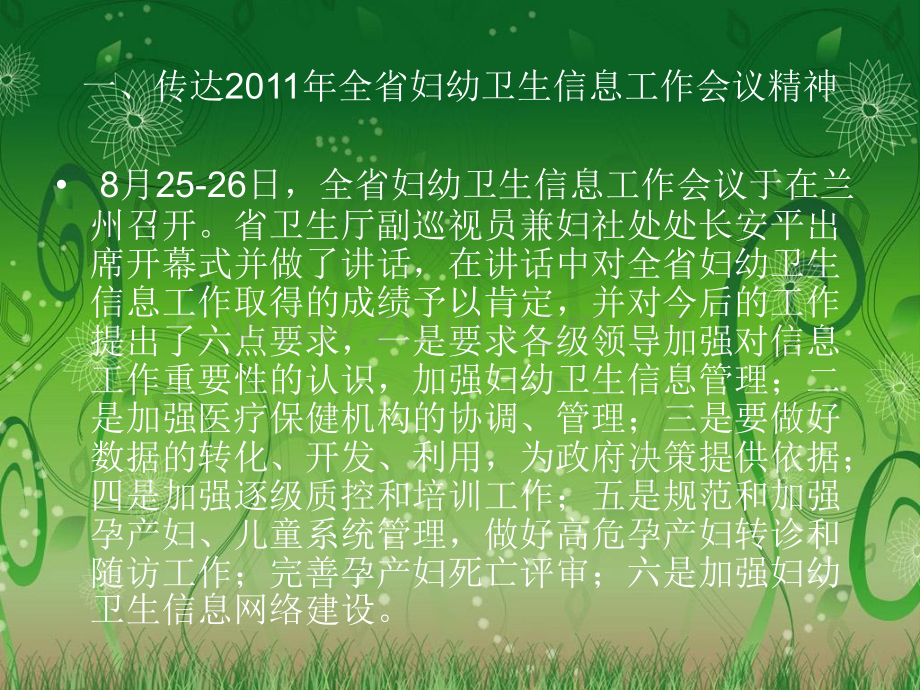 201年妇幼卫生信息暨的项目培训课件.ppt_第2页