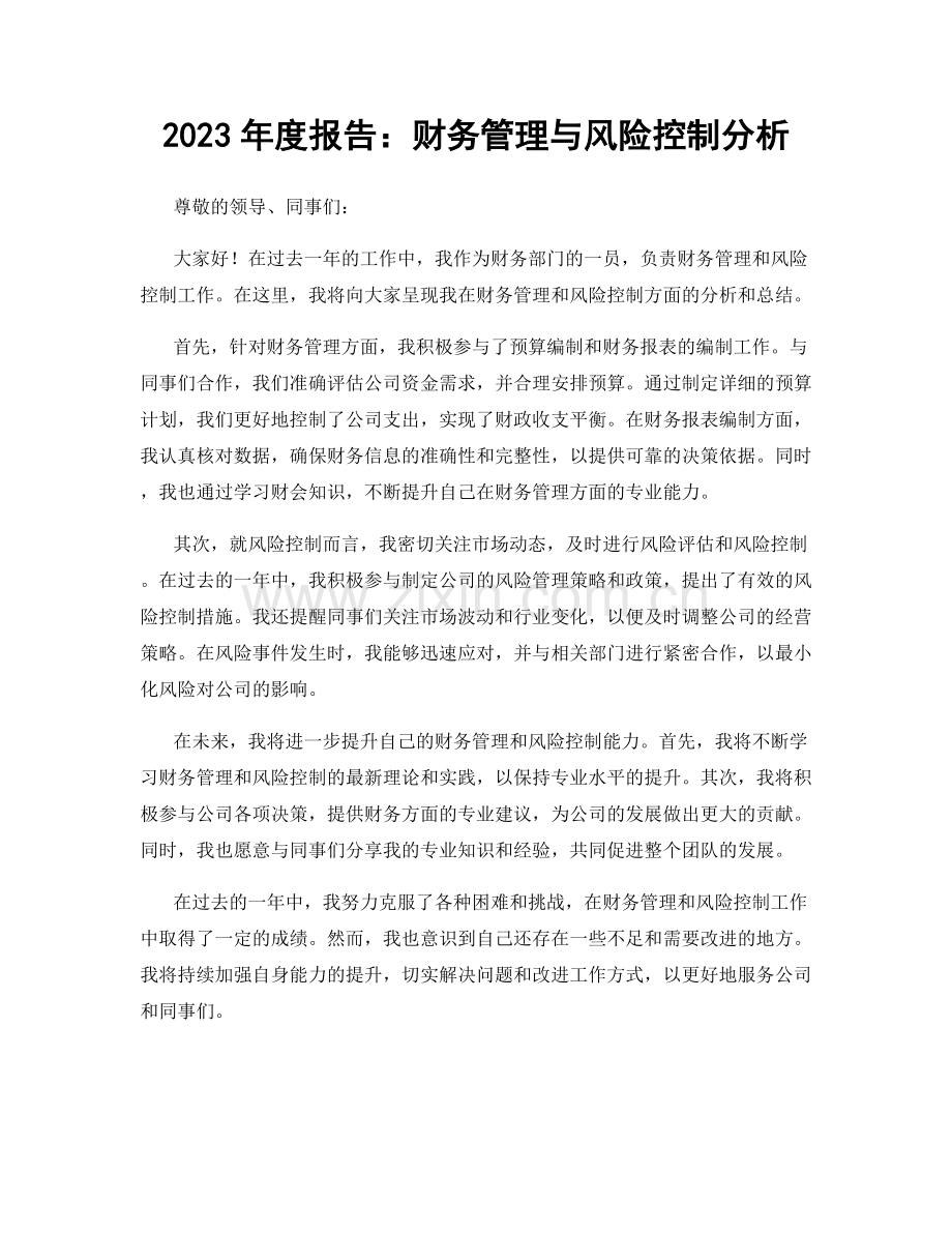 2023年度报告：财务管理与风险控制分析.docx_第1页