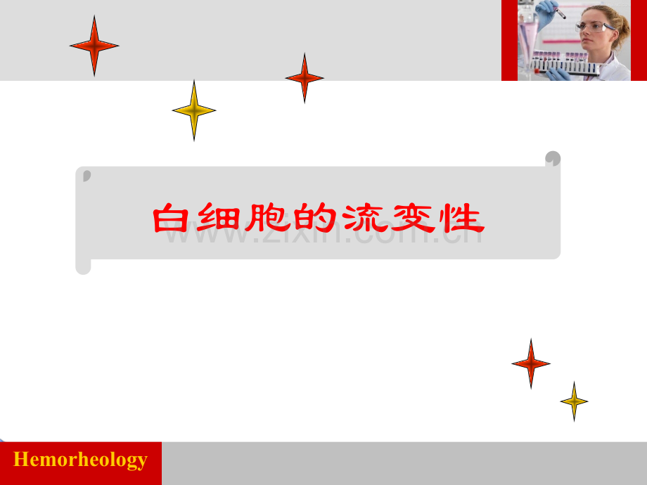 白细胞的流变特性.ppt_第1页