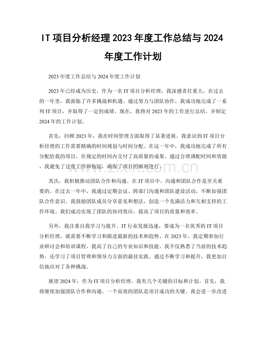 IT项目分析经理2023年度工作总结与2024年度工作计划.docx_第1页