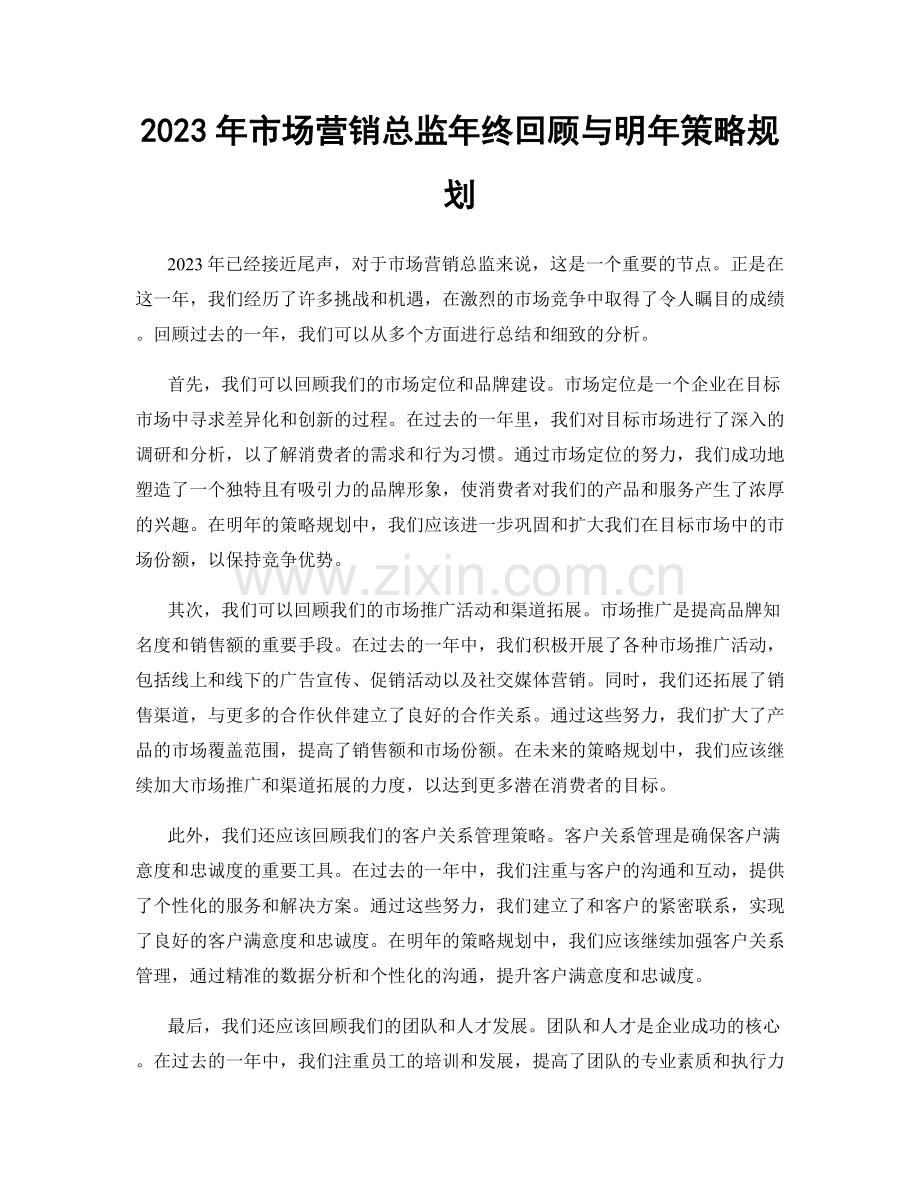 2023年市场营销总监年终回顾与明年策略规划.docx_第1页