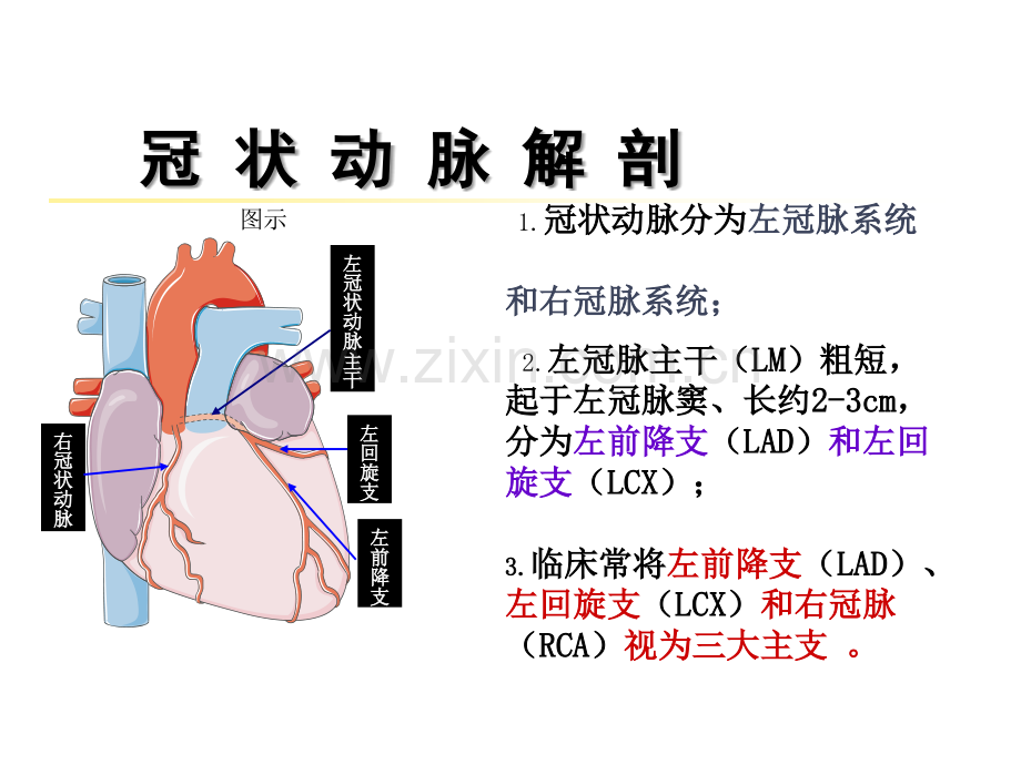 急性心肌梗死的识别.ppt_第3页