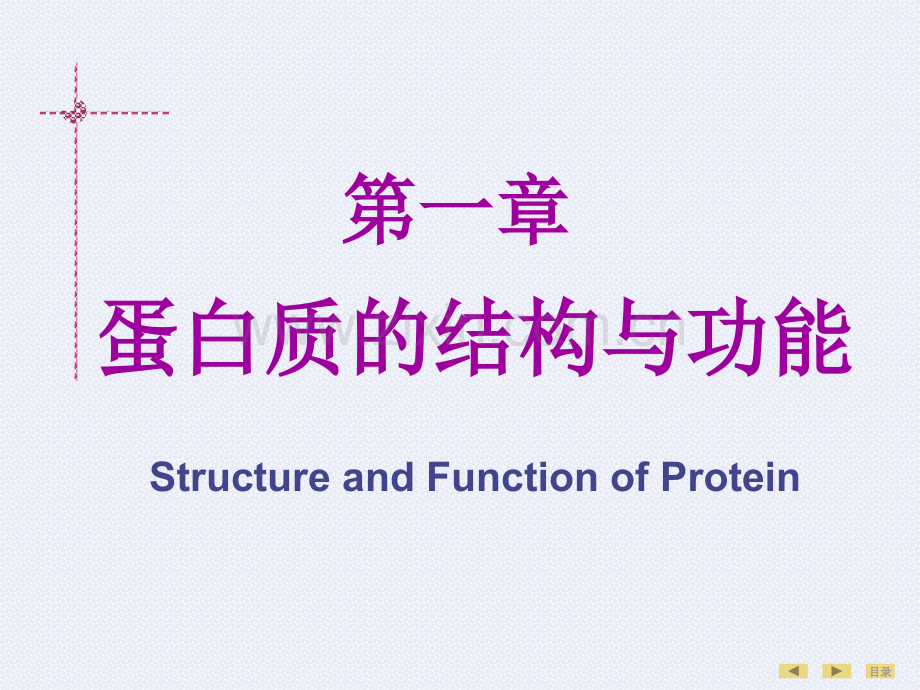 生物化学---第01章-蛋白质的结构与功能-临床5年制-第7版.ppt_第2页