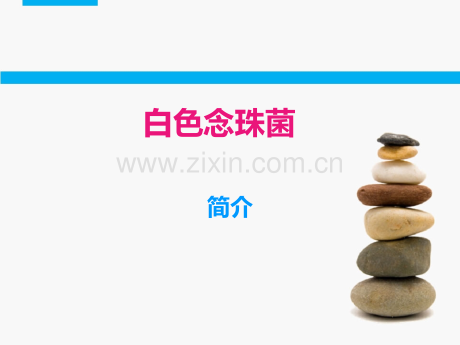 白色念珠菌.ppt_第1页