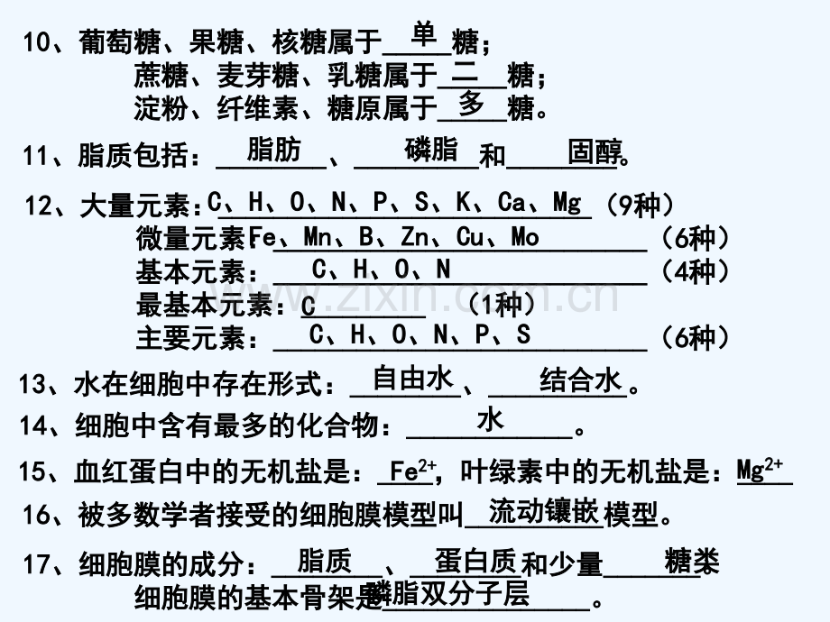 高中生物会考复习PPT.ppt_第3页