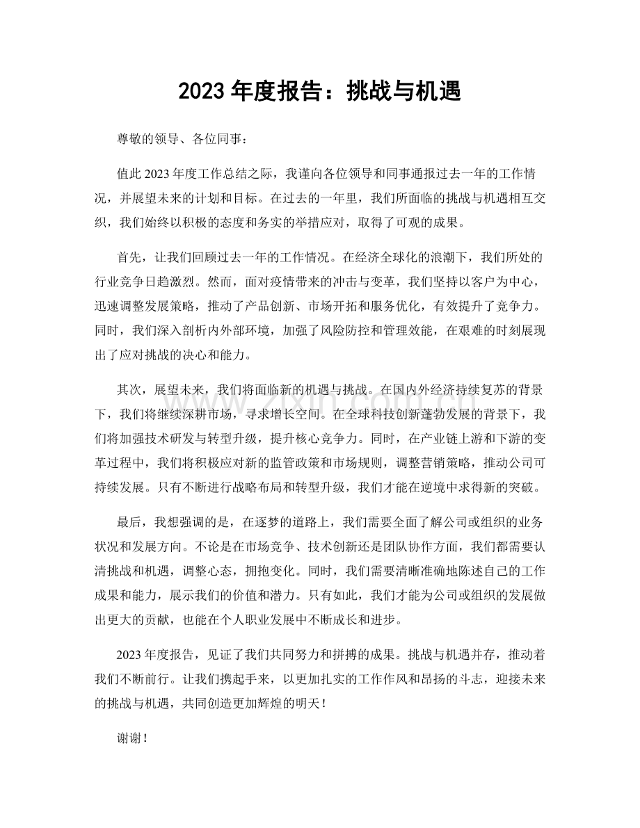 2023年度报告：挑战与机遇.docx_第1页