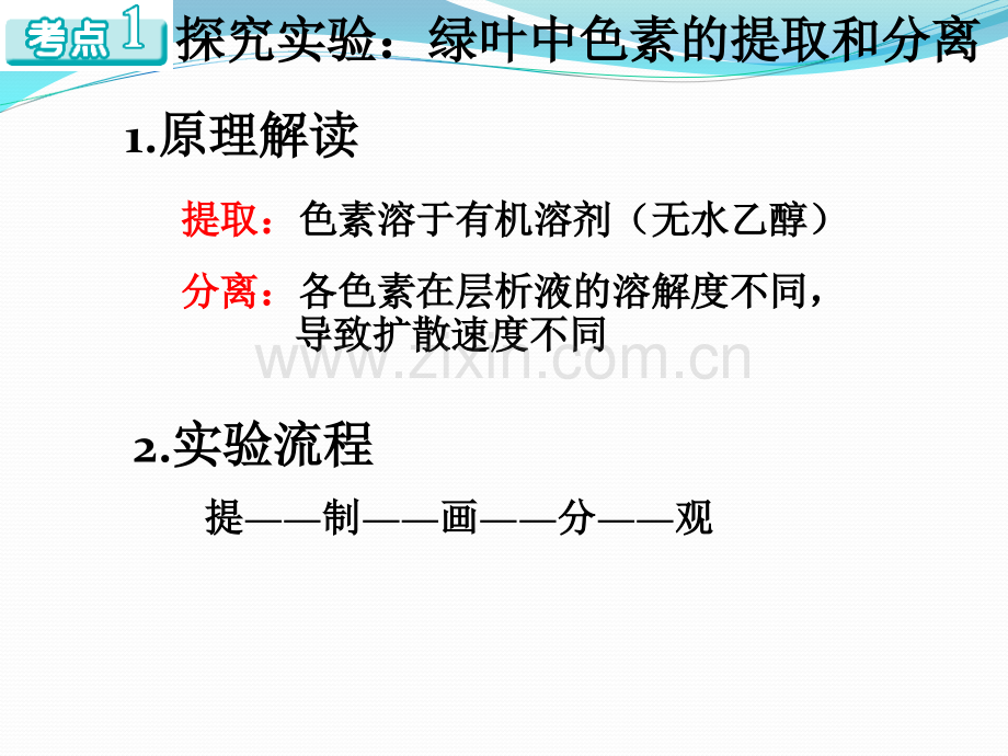 2016生物一轮复习光合作用.ppt_第2页