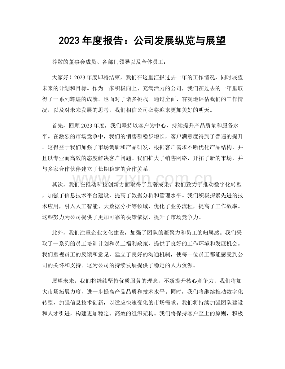 2023年度报告：公司发展纵览与展望.docx_第1页