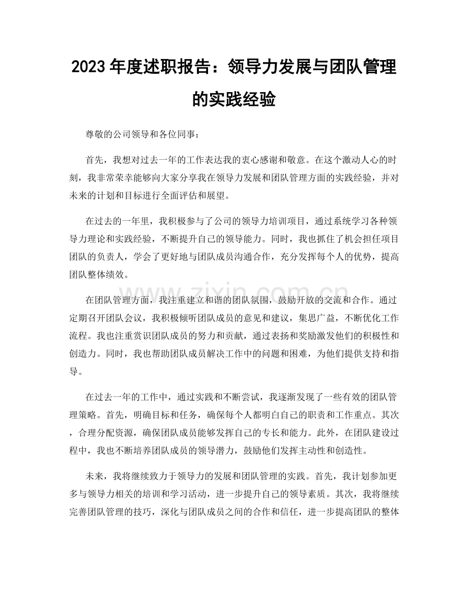 2023年度述职报告：领导力发展与团队管理的实践经验.docx_第1页