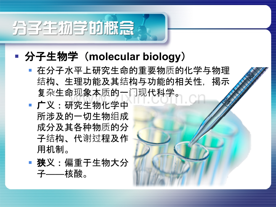 分子生物学在医学的应用.pptx_第3页