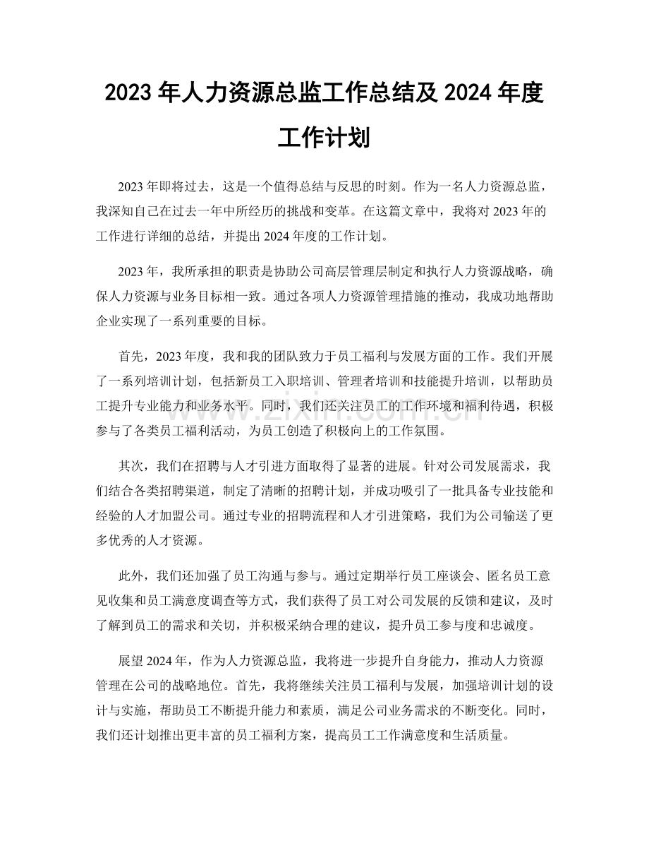 2023年人力资源总监工作总结及2024年度工作计划.docx_第1页