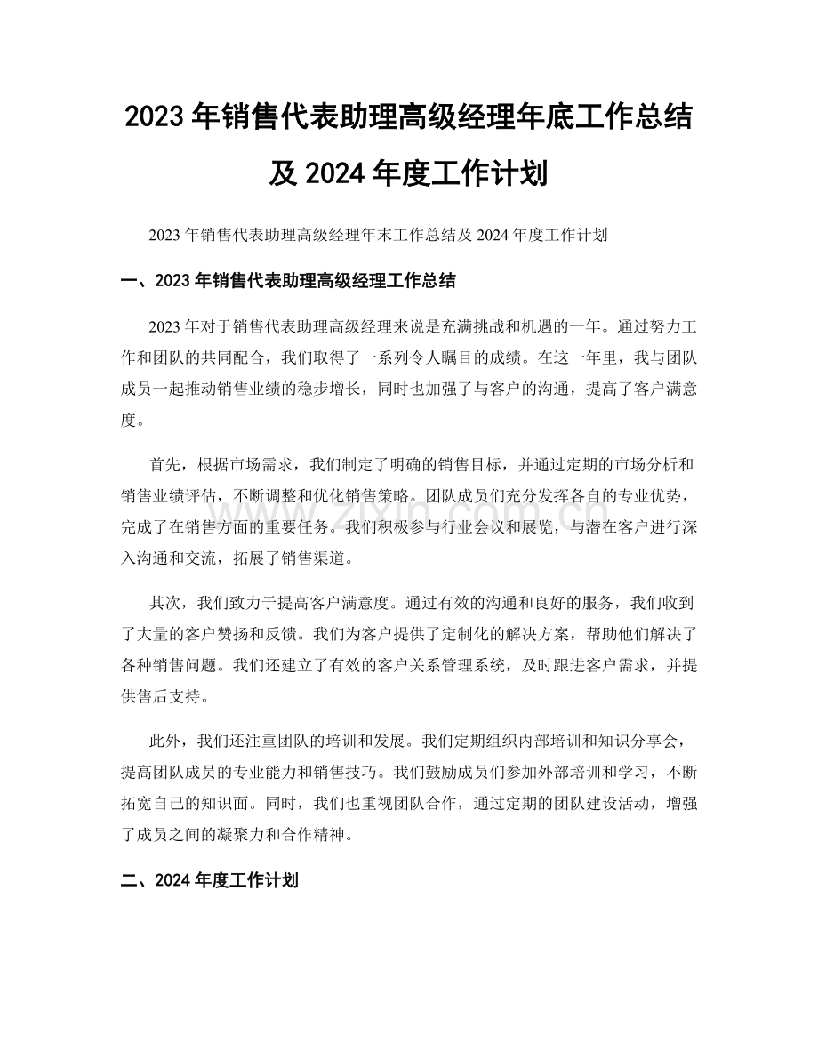 2023年销售代表助理高级经理年底工作总结及2024年度工作计划.docx_第1页