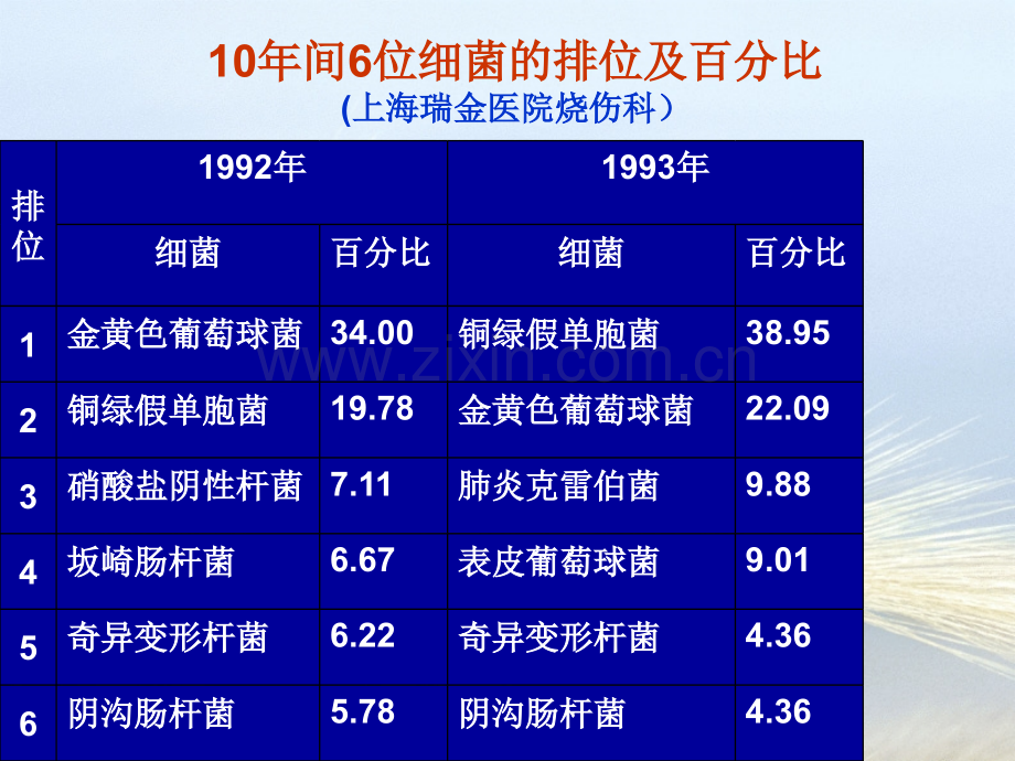 烧伤感染与治疗对策.ppt_第3页