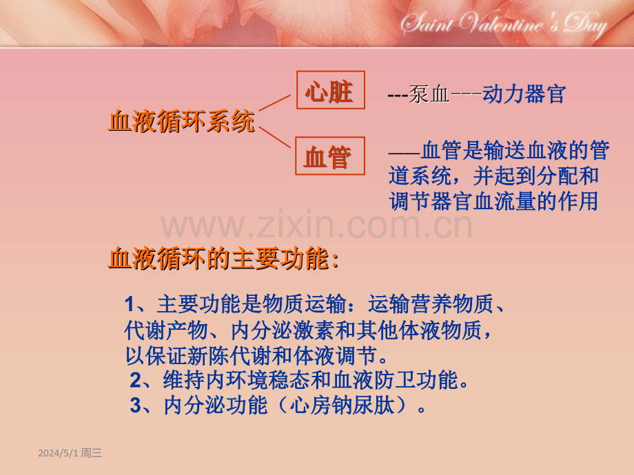 心脏的泵血功能.ppt_第3页