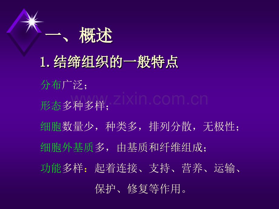 3.结缔组织.ppt_第2页