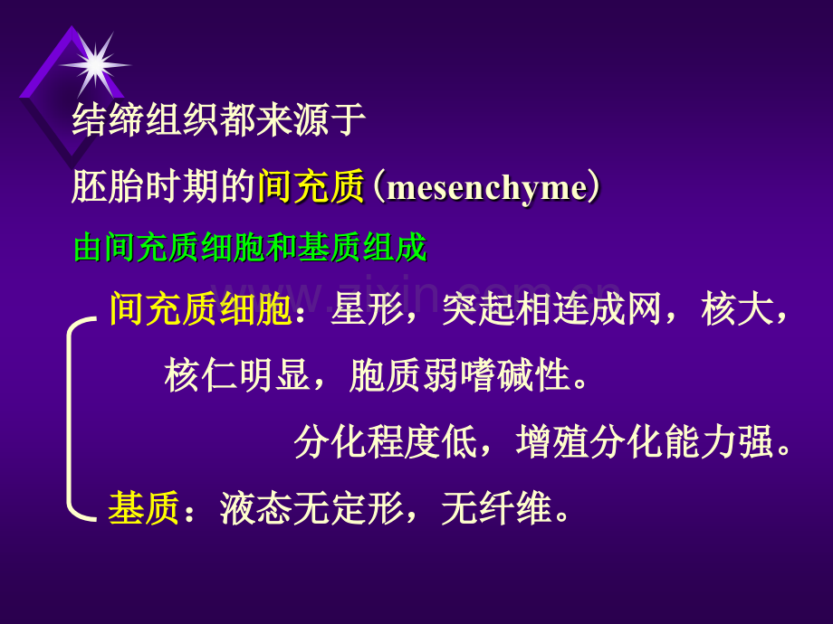 3.结缔组织.ppt_第3页