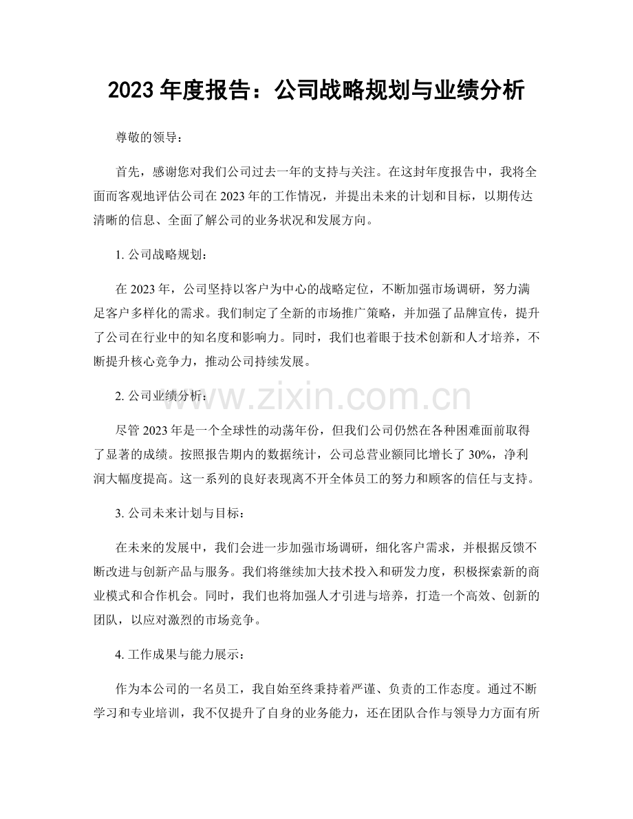 2023年度报告：公司战略规划与业绩分析.docx_第1页