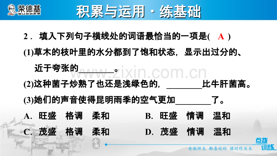 16.昆明的雨.ppt_第3页