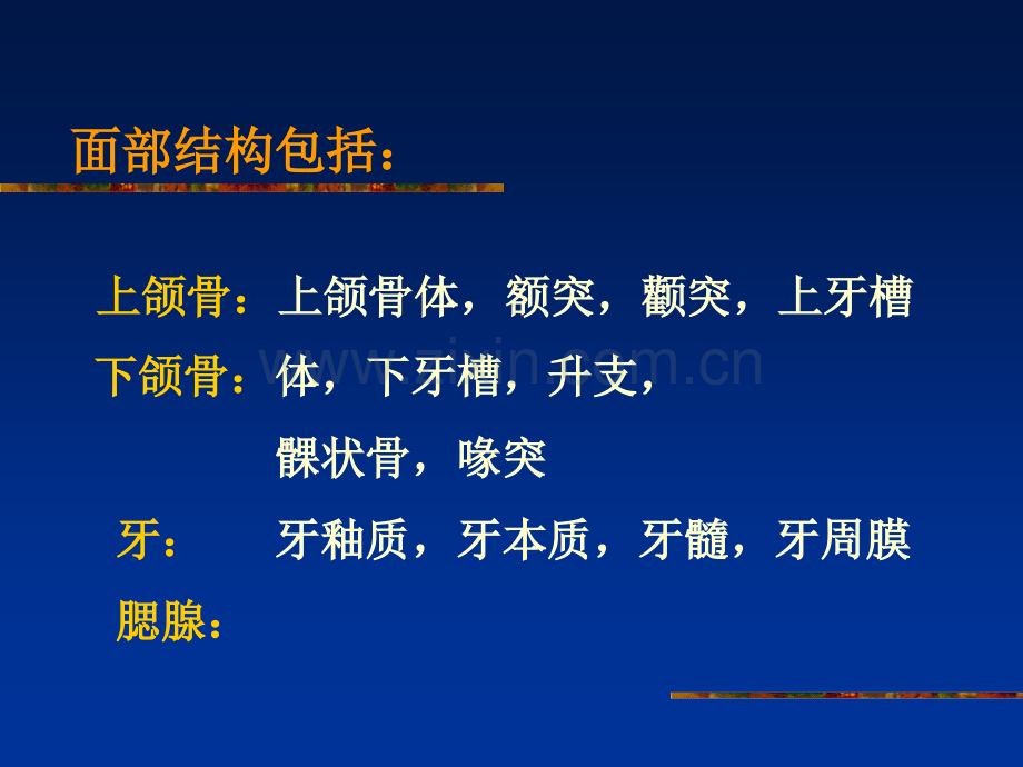 口腔颌面部影像(南方医院影像课件).ppt_第2页