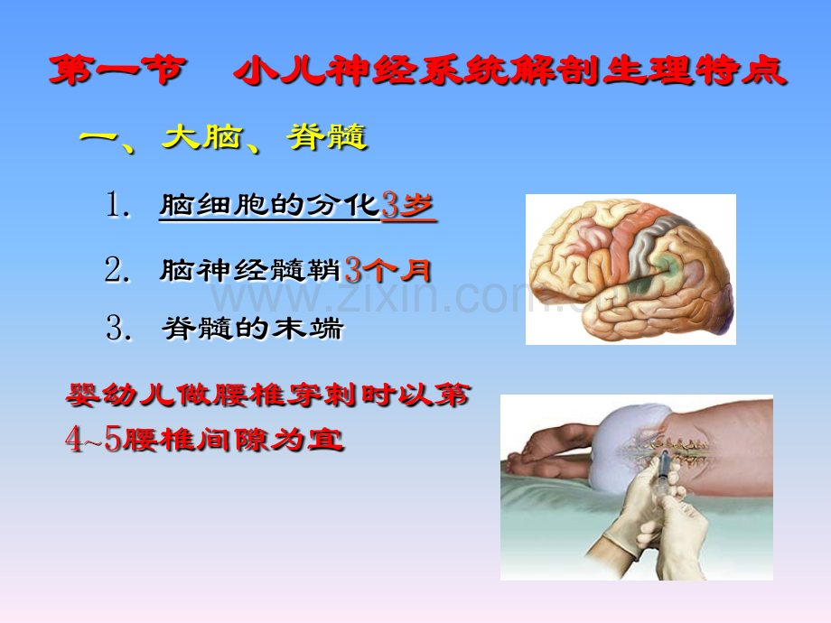 第14章-神经系统疾病患儿的护理.ppt_第3页