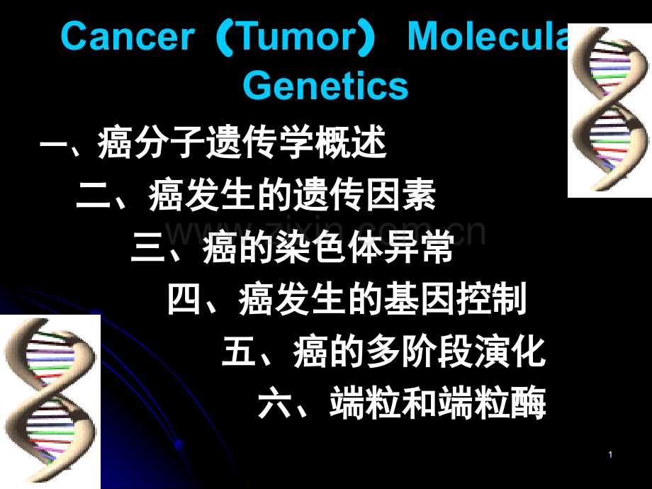 《癌肿瘤遗传学》.ppt_第1页