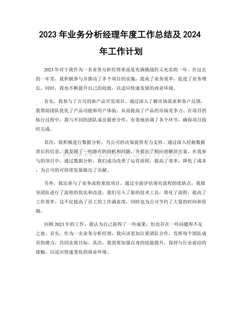 2023年业务分析经理年度工作总结及2024年工作计划.docx_第1页