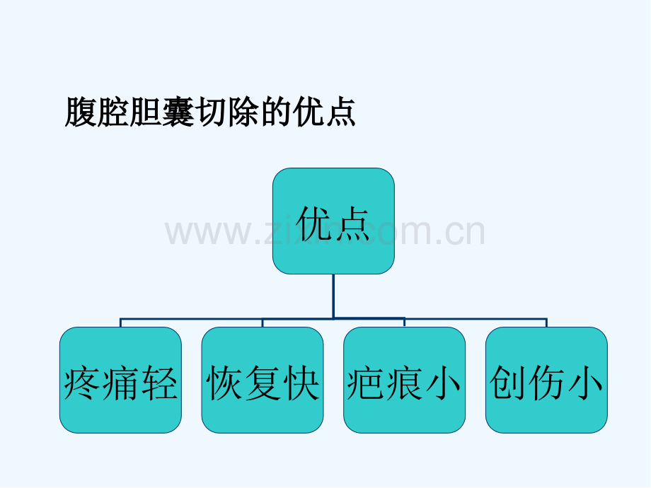 腹腔镜下胆囊切除术ppt.pptx_第3页