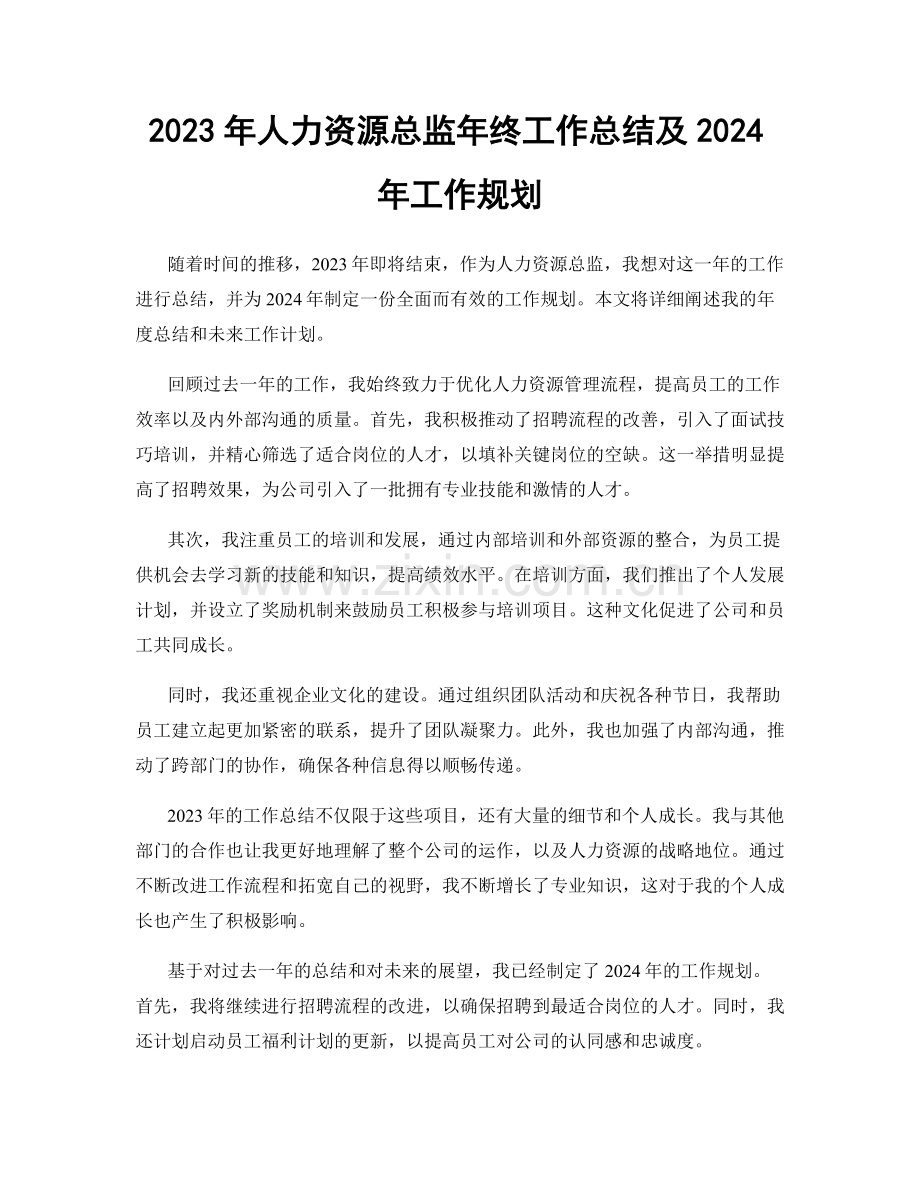 2023年人力资源总监年终工作总结及2024年工作规划.docx_第1页