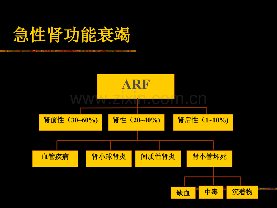 急性肾功能衰竭..ppt_第3页