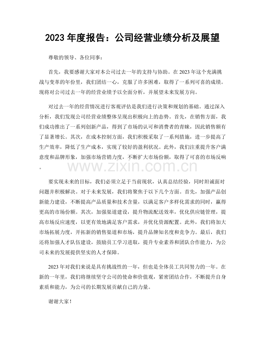 2023年度报告：公司经营业绩分析及展望.docx_第1页